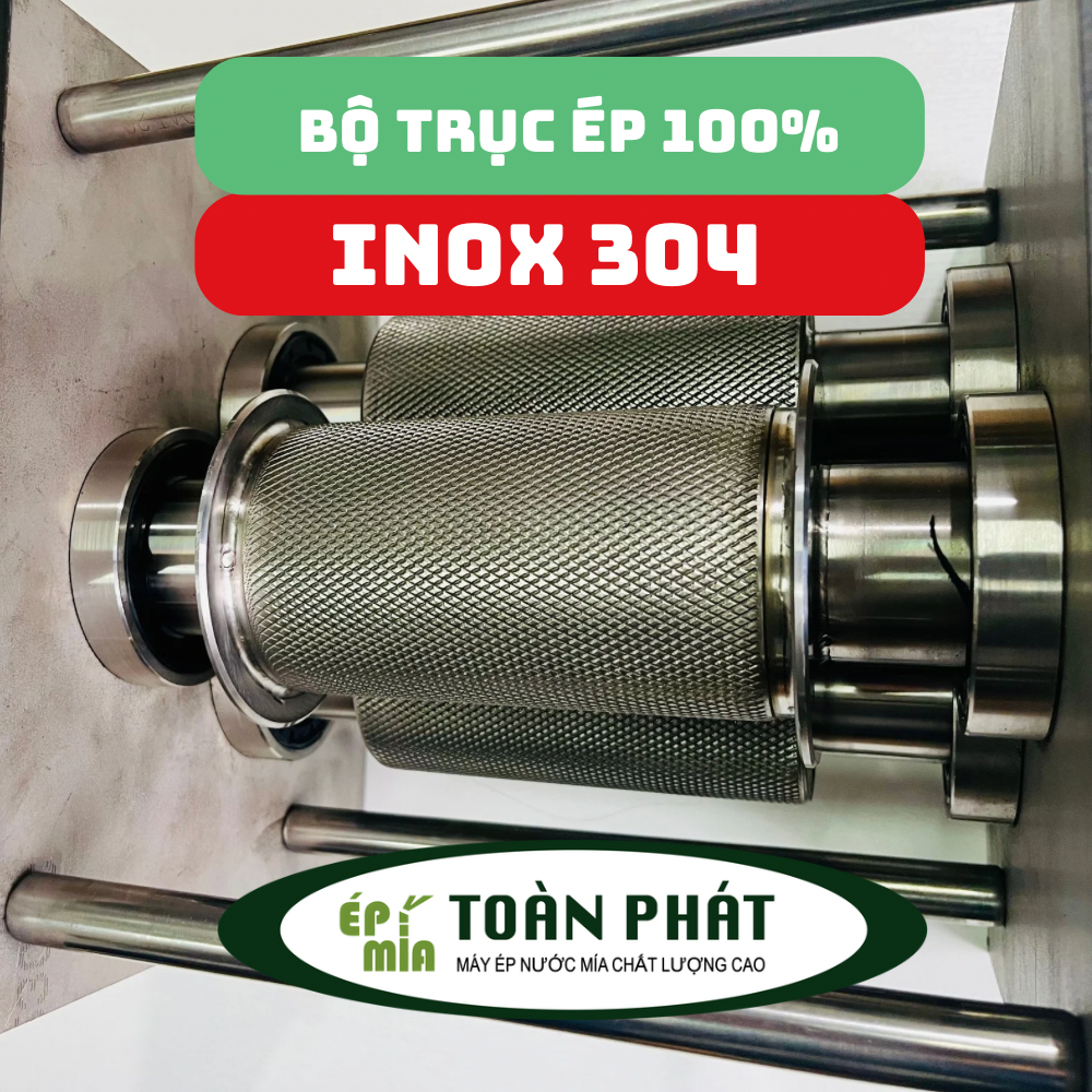Xe ép nước mía siêu sạch 2-3 cây gọn nhẹ tiện dụng Toàn Phát 800w Pro