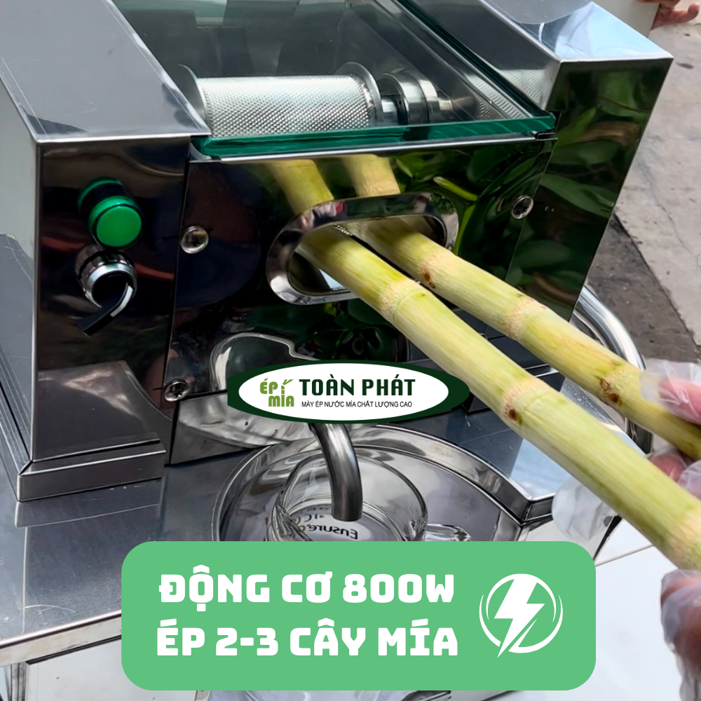 Máy ép mía chất lượng cao 12 bạc đạn ép 2-3 cây Toàn Phát 800W (BEST POWER)